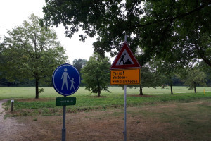 Bomenkap in het Oosterpark, compenserende maatregelen zijn nodig.