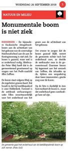 https://ridderkerk.pvda.nl/nieuws/vleugelnootboom-huishoudschool-in-beheer-van-gemeente/